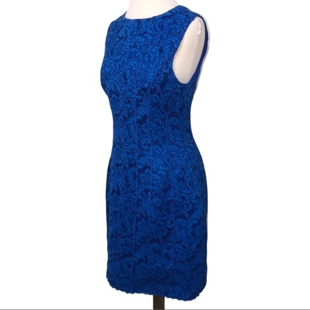 Adam Lippes Corded Lace Flare Dress Cobalt 8 NWT - Picture 2 of 14
